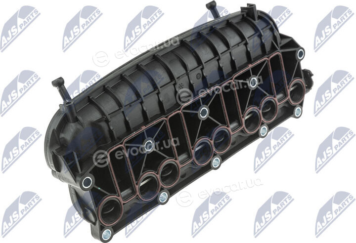 NTY BKS-VW-012