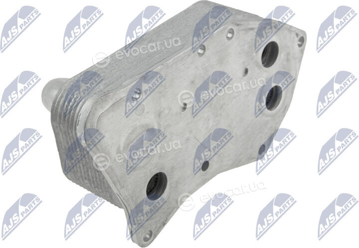 NTY CCL-PL-021