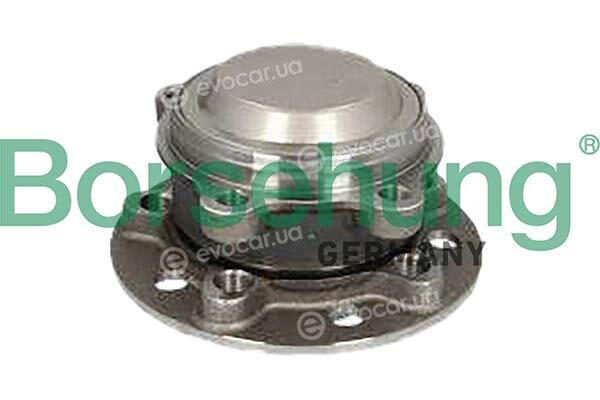 Borsehung B11714