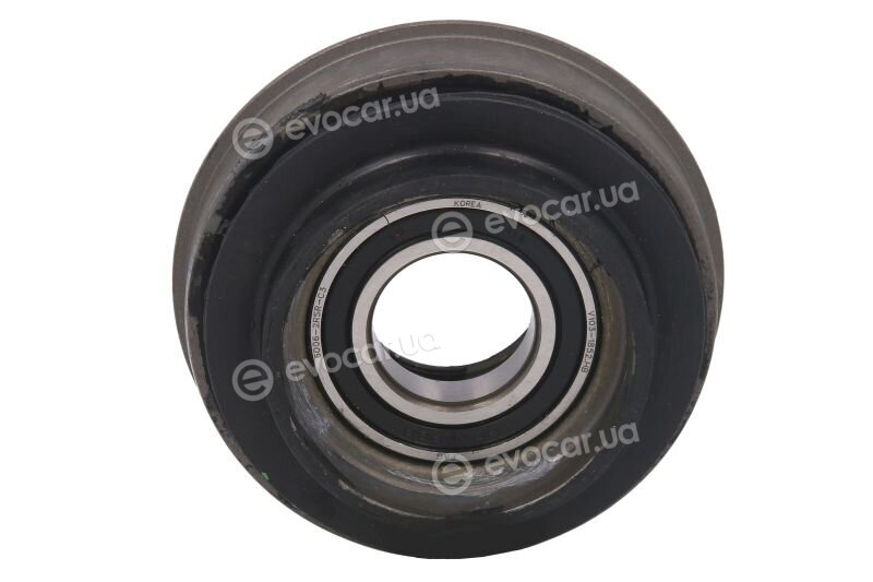 Tedgum TED62861