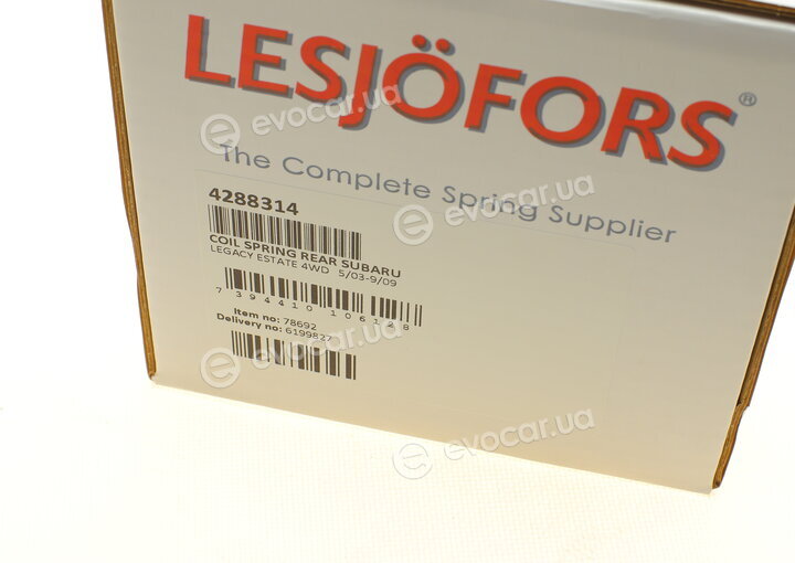 Lesjofors 4288314