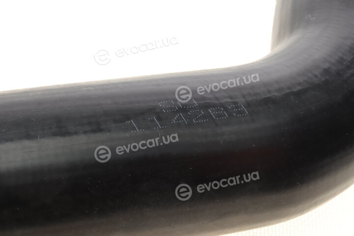 Solgy 114263