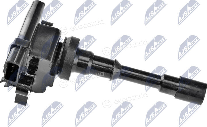 NTY ECZ-MS-005
