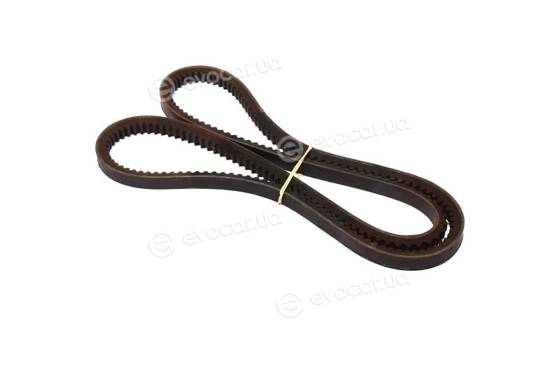 Dayco 13A1350C