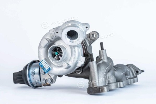 BorgWarner 53039900205