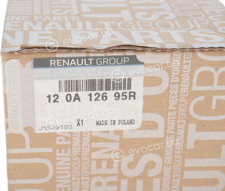 Renault / Nissan 120A12695R