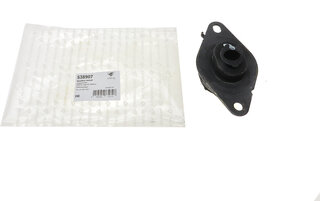 Hutchinson 538907