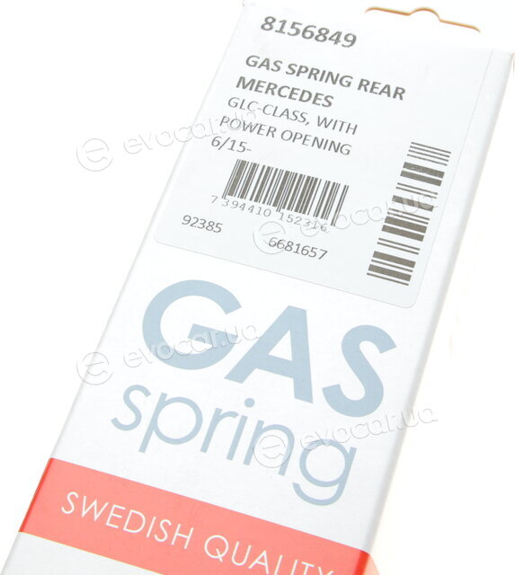 Lesjofors 8156849