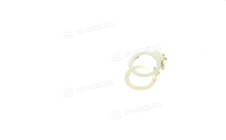 Elring 631.880
