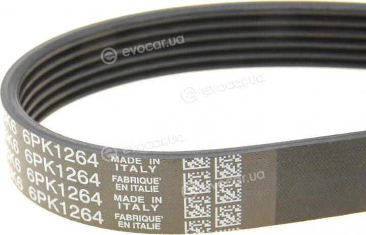 Dayco 6PK1264