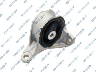 GSP 533899