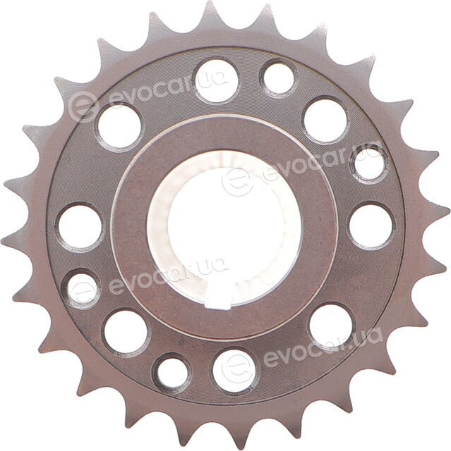 Motive TCK345