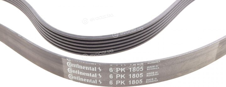 Continental 6PK1805