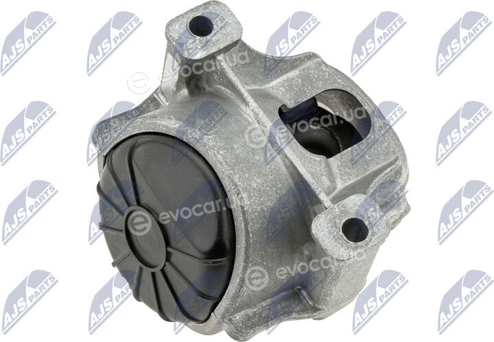 NTY ZPS-AU-002