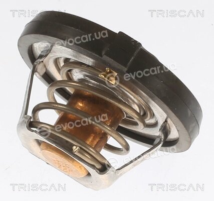 Triscan 8620 12191