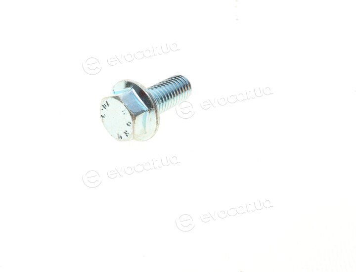 Solgy 203119