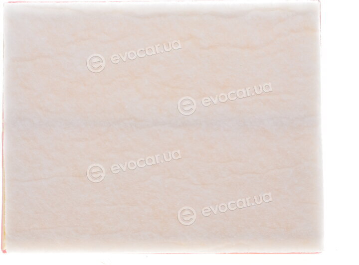 Solgy 103059