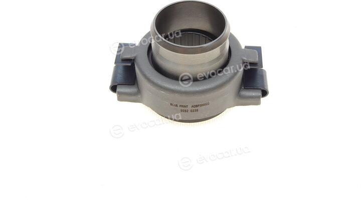 Blue Print ADBP300022