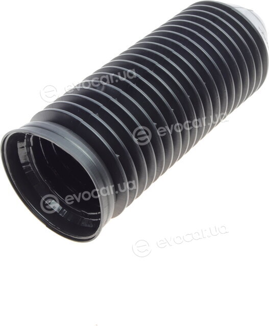 Borsehung B10152