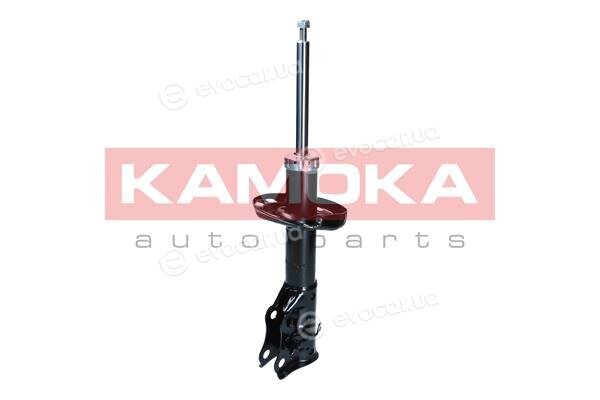 Kamoka 2001118