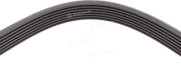 Continental 7PK2418
