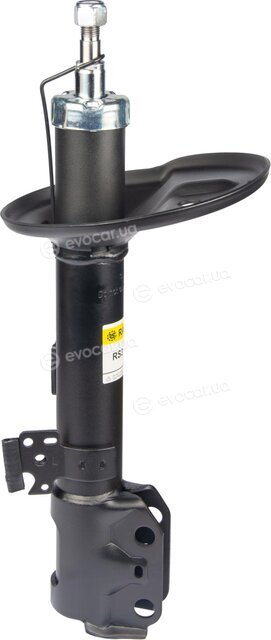 Raiso RS313809