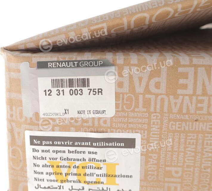 Renault / Nissan 123100375R
