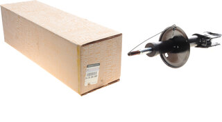 Renault / Nissan 543026656R