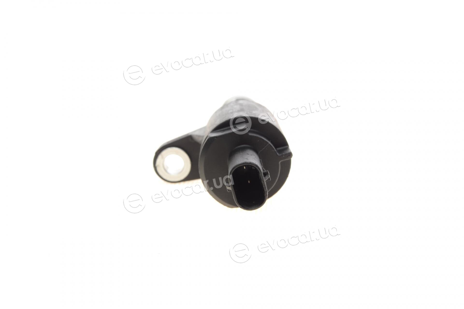 AIC 58843