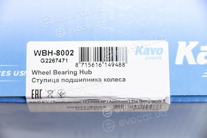 Kavo WBH-8002