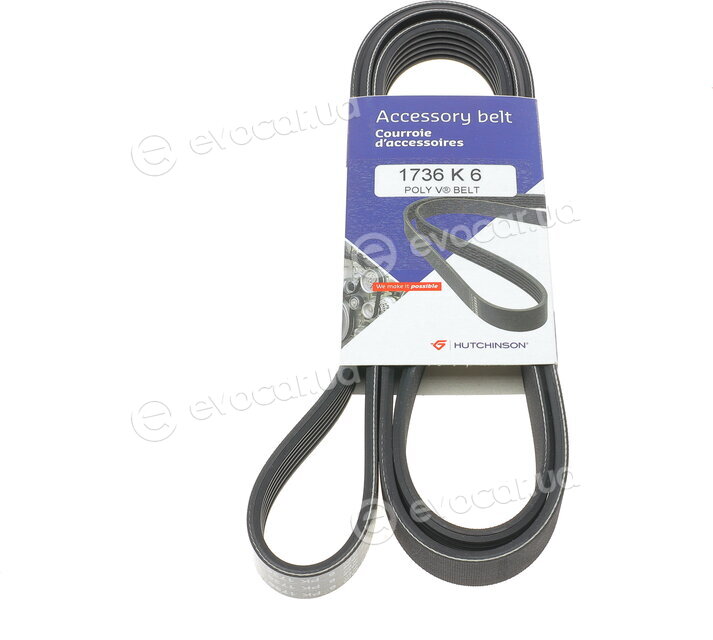 Hutchinson 1736 K 6