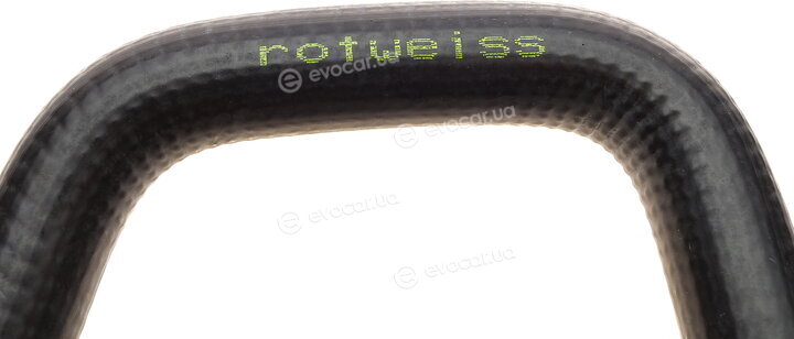 Rotweiss RW50053