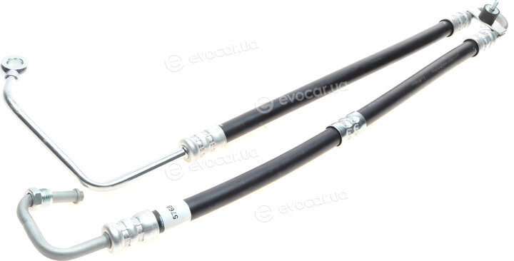AIC 57681