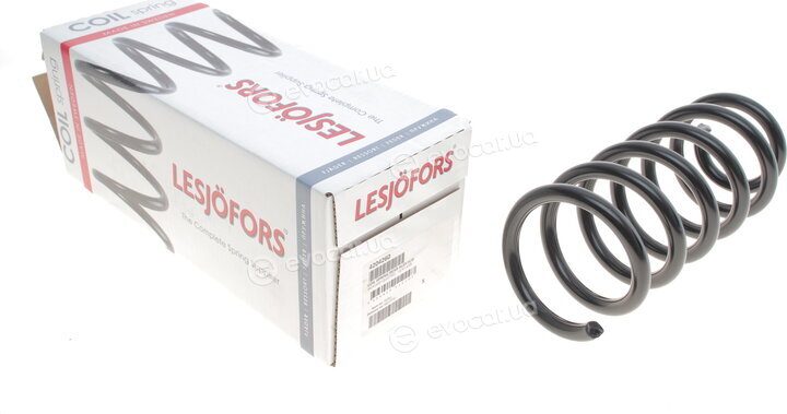Lesjofors 4204260