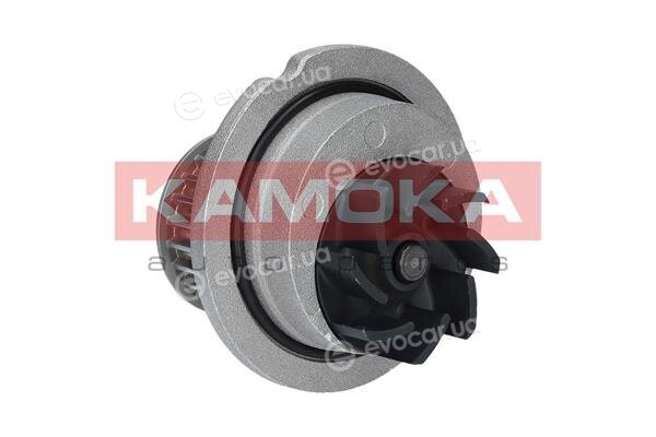 Kamoka T0071