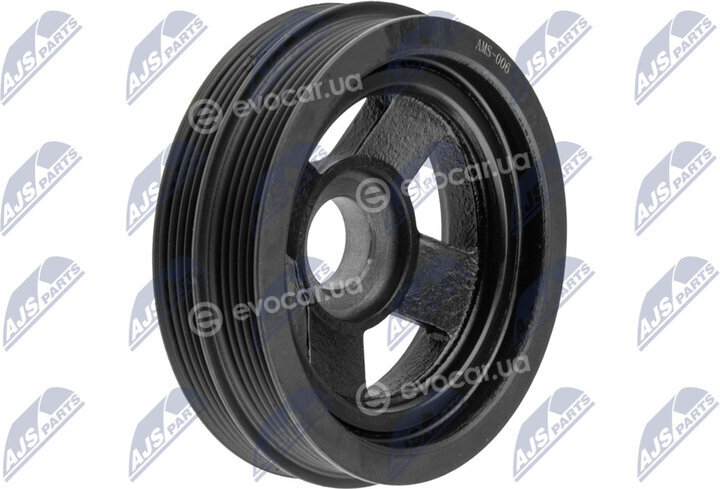 NTY RKP-MS-006