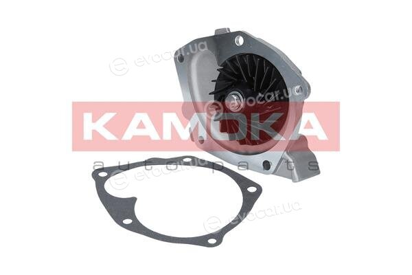 Kamoka T0245