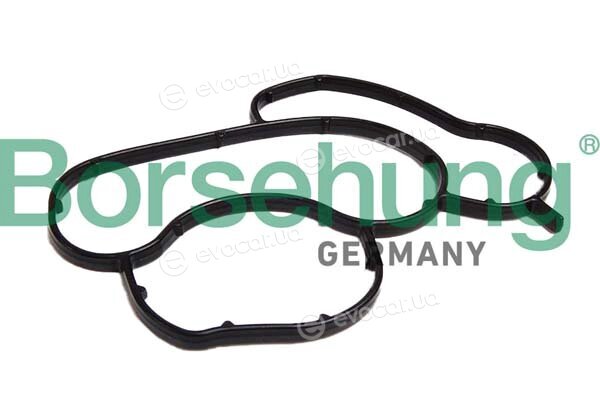 Borsehung B12529