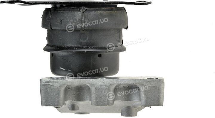 NTY ZPS-VW-038
