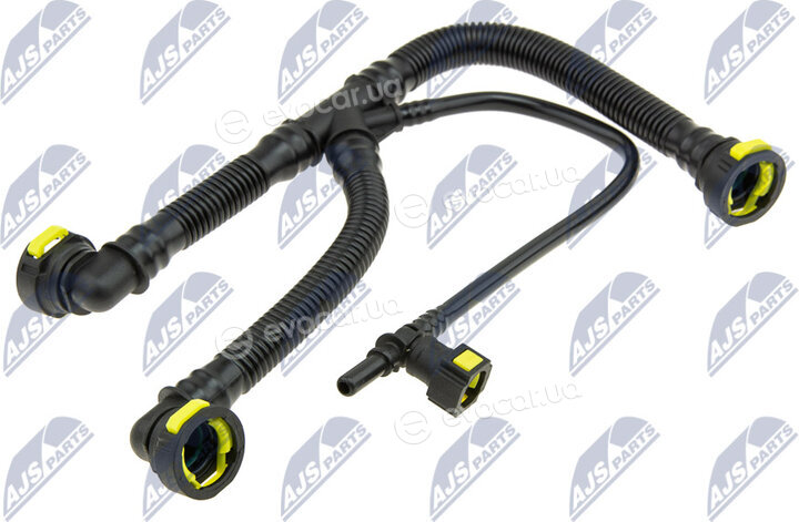 NTY GPP-PE-010