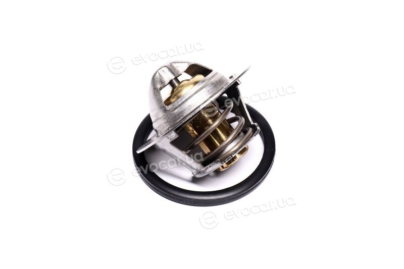 Mahle TX 100 89D