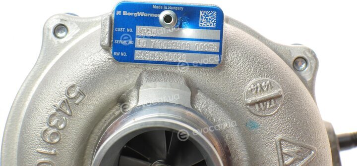 BorgWarner 54359980029