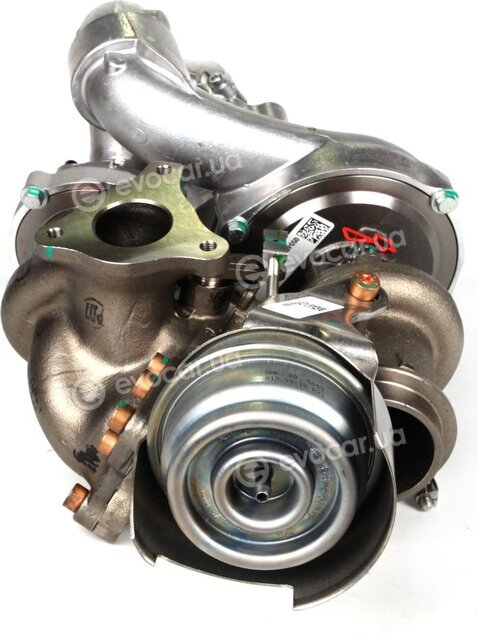 BorgWarner 10009880074