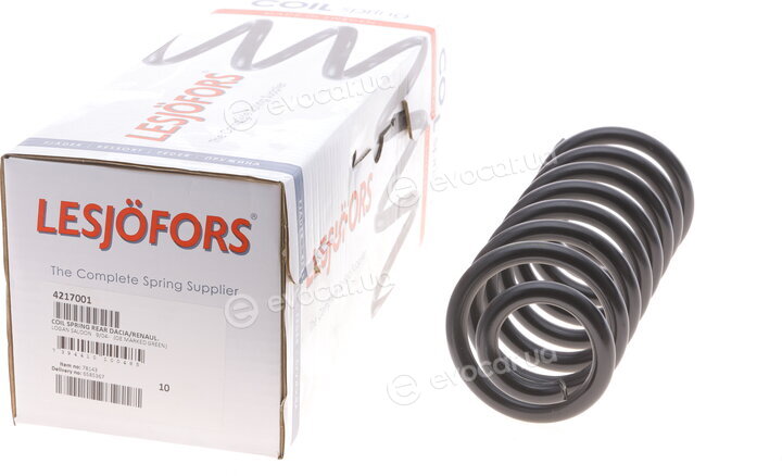 Lesjofors 4217001