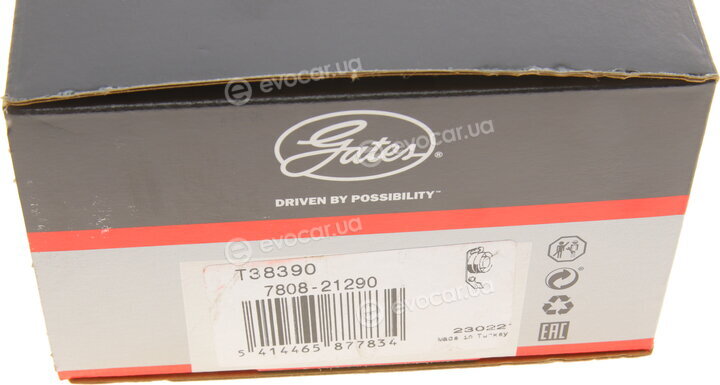 Gates T38390