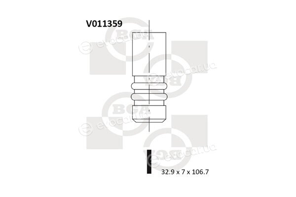 BGA V011359