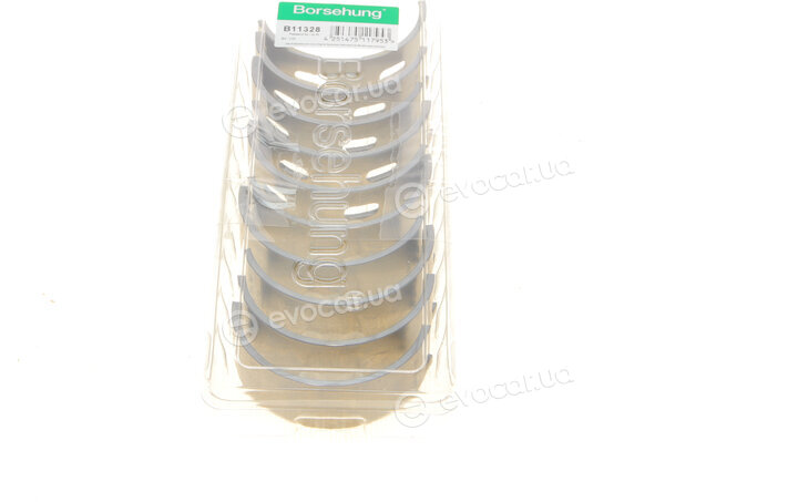 Borsehung B11328