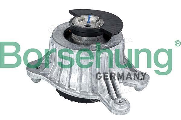 Borsehung B12647