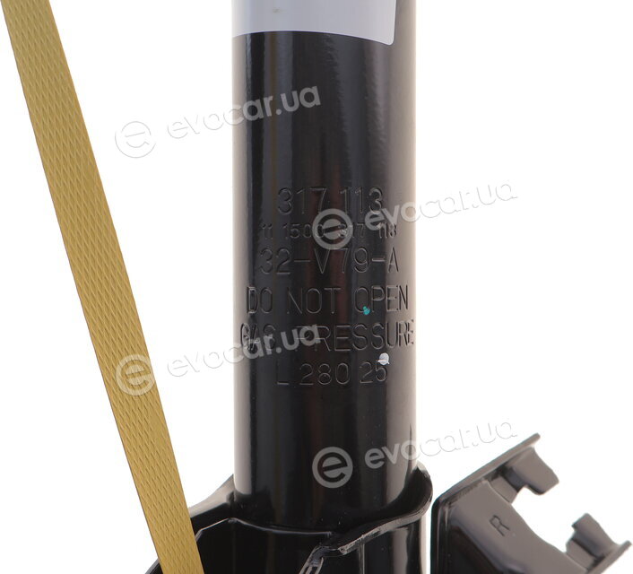 Sachs 317 113