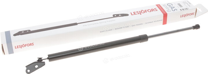 Lesjofors 8155460